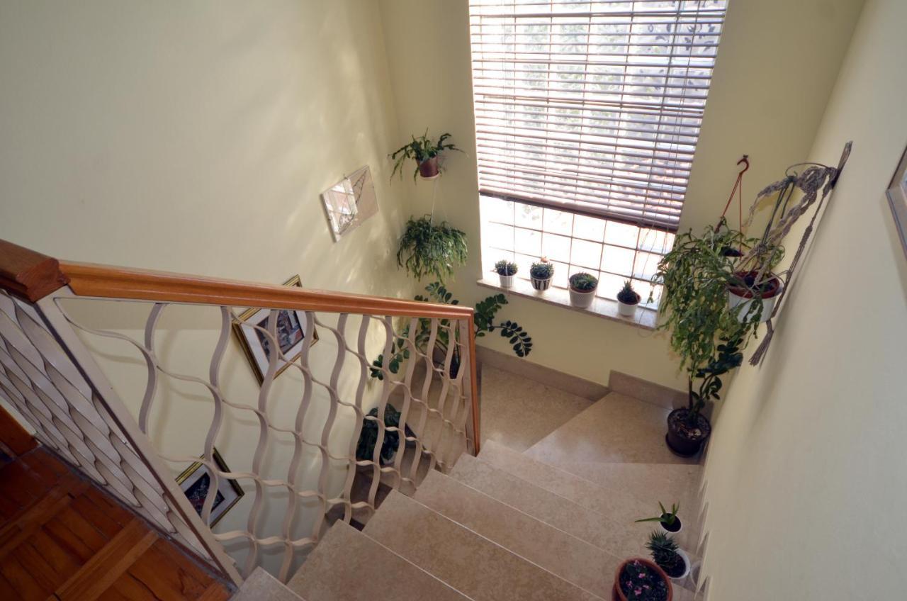Aneli Rooms & Apartament Rovinj Exterior photo